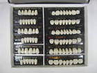 2443058 Smile Bright Complete Sets Acrylic Denture Teeth Size Large Medium