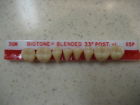 30m - 65p Dentsply Trubyte Biotone Lower Posterior Mould