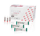 31909051801251 439402 Gc Equia Fil Intro Assorted D6584520051-