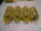 4dbs50f192 Hansen Gromelle 1 2 Quick Disconnect Coupling New Lot Of 4