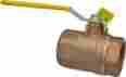 70-108-01 Apollo 2in Ball Valve