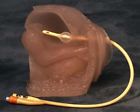 8015 Lfa Female Bladder Catheterization Training Model