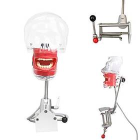 Aries Outlets 792057391940 Dental Simulator Manikin Phantom Head Teeth Model Training Bench Mount Fix On