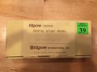 B3-305 32s Kilgore Nissin Dental Study Model Anatomical Tooth Set