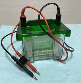 165-3302 Bio-rad Mini Protean 3 Cell Gel Electrophoresis Cat 30-day Warranty