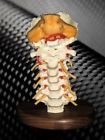 Cvc200 American Anatomical Corporation Anatomy Model Basic Cervical Vertebrae 758500000180