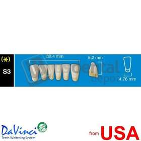 112666 Davinci 681306433732 S3 Loweranterior C3 1 X 6 4 Layers Denture Acrylic Tee