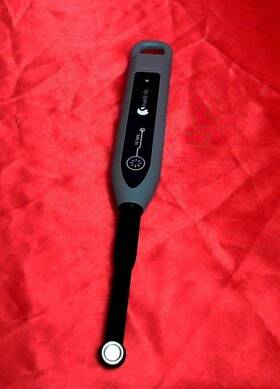 Ix00335 Dentsply 101us Smartlite High Power Led Curing Light