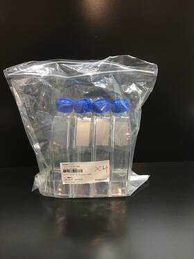 Fb012939 Fisher Scientific Fisherbrand Cat No Tissue Culture Flask 250ml Vented Cap Lot 4 Pcs