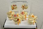 G176 Gpi Anatomicals Lumbar Vertebrae Degeneration Model