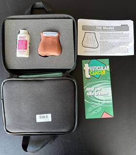 26406e Health Edco Education Tse Model Two Lumps In One Testicle With Case Cancer
