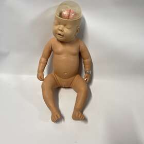 W43117 Health Edco 53501 Education Shaken Baby Demonstration Model