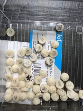 Hta2 Ivoclar Vivadent Emax Vivodent Once Pressed Lot Of 25