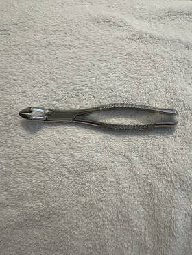 Def-32 Miltex Original Integra 32 Extraction Forceps Stainless Steel Universal Germany