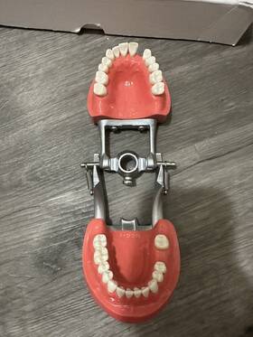 D81sdp Nissin Dental Products D91sdp Model