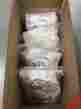 Pmcd230212 Colder Coupler Polypropylene Natural Push In Bulk 1 000 Pcs