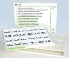 Po-96 Crowns Kit Espe Assorted Permanent Molar Stainless Steel Complete