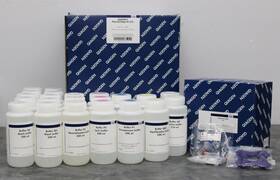 Cat.12183 Qiagen 12183 Plasmid Mega Kit 25 For Molecular Biology Applications