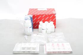 80204 Qiagen Allprep Dna/rna Mini Kit 50 With Wash Buffer And Accessories