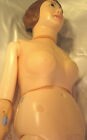 Smf008 Cb Lifesize Human Manikin Model Nursing Medical School Patient Care