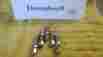 Ss-200-61 Swagelok Ss 200 61 Stainless Steel Tube Fitting Bulkhead 20 Pcs