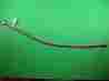 Ss-fm4rf4rf4-24 Swagelok Flexible Braided Hose New Ss-fm4rf4rf4-24 Swagelok Flexible Braided Hose New