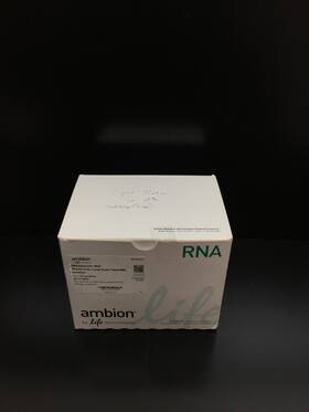Am1911 Thermo Scientific Ambion Ref Rnaqueous Midi Total Rna Isolation Kit