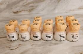 Vm13 Vita Porcelain Lot