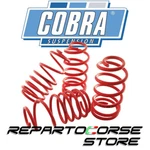 Cobra Springs Renault Clio Iv Door Dci 90 (edc) From 10/2012 To 05/2019. Fixed Price $217.76.