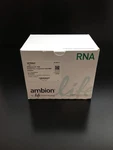 Thermo Scientific Ambion Ref AM1911 Rnaqueous Midi Total Isolation Kit. Fixed Price $311.94.