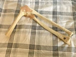 Somso Anatomical Elbow Joint Model. Read. Fixed Price $59.99.