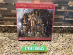 College Of Magical Knowledge 1500 Piece Jigsaw Puzzle By James Christensen New. Fixed Price $26.00.