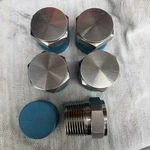 Qty 5 Swagelok Stainless Steel Pipe Plug, 1" Male Npt, SS-16-P. Fixed Price $175.00.