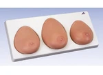 New 3B Anatomical Female Breast Exam Model L55. Fixed Price $1055.00.