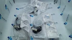 Philips Respironics M AF531 Ee Leak Ne Single Use Ref 1119108 Set Of. Fixed Price $224.23.