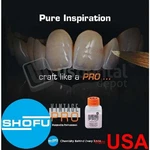 Shofu Vintage Pro (pfm) Body A3B 50GRS - #P0153 470029. Fixed Price $80.44.