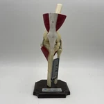 Medical Plastics Laboratory JK-2500 Deluxe Knee Joint Anatomical Model Muscles. Fixed Price $189.00.