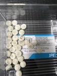 Emax Ivoclar Vivodent Once Pressed Ingots HTC1-C4 Lot Of 60. Fixed Price $85.00.