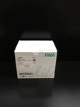 Thermo Scientific Ambion Ref AM1911 Rnaqueous Midi Total Isolation Kit. Fixed Price $299.94.