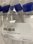 Fisher Scientific FB012939 Culture 600 Ml Vented Cap Pack Of 5 Flasks. Fixed Price $18.95.