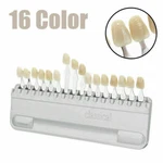 Vitapan Classical Shade Guide A1-D4 With 16 Natural Tooth Colors. Fixed Price $34.75.