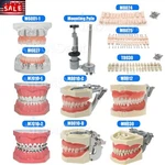 Us Dental Overdenture Implant Model Preparation Training Teaching Ortho Typodont. Fixed Price $15.99.
