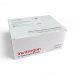 Invitrogen Rnase-free, Thin-walled, Frosted Lid 0.2ML Pcr Tubes AM12225. Fixed Price $79.20.