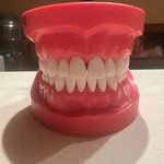 Nissin Dental Model D81SDP-MCG.1. Fixed Price $49.99.