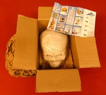 3B Scientific Products Germany Part Classic Human Skull Replica Model A20 Nib. Fixed Price $66.40.
