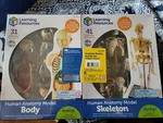 Learning Resources Anatomy Models Bundle Set Brain Body Heart Skeleton Classr.... Fixed Price $69.99.