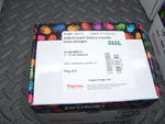 Thermo 66810 Slide-a-lyzer Dialysis Cassette Extra Strength 10.000 Mwco 3-12 Ml. Fixed Price $74.99.