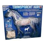 Lindberg Transparent Equine Anatomy Horse 1/4 Scale Clear Skeleton Organ Retired. Fixed Price $399.99.