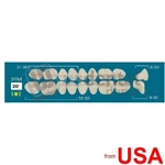 Rafael 31M Upper Posteriors A3 (1 X 6) 20 Degrees Layers Dentur 113381. Fixed Price $17.56.
