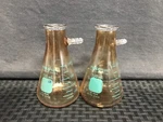(2) Pyrex Plus Plastic Coated Glass 250ML Graduated Filter Flask Hd 65340-250. Fixed Price $23.99.